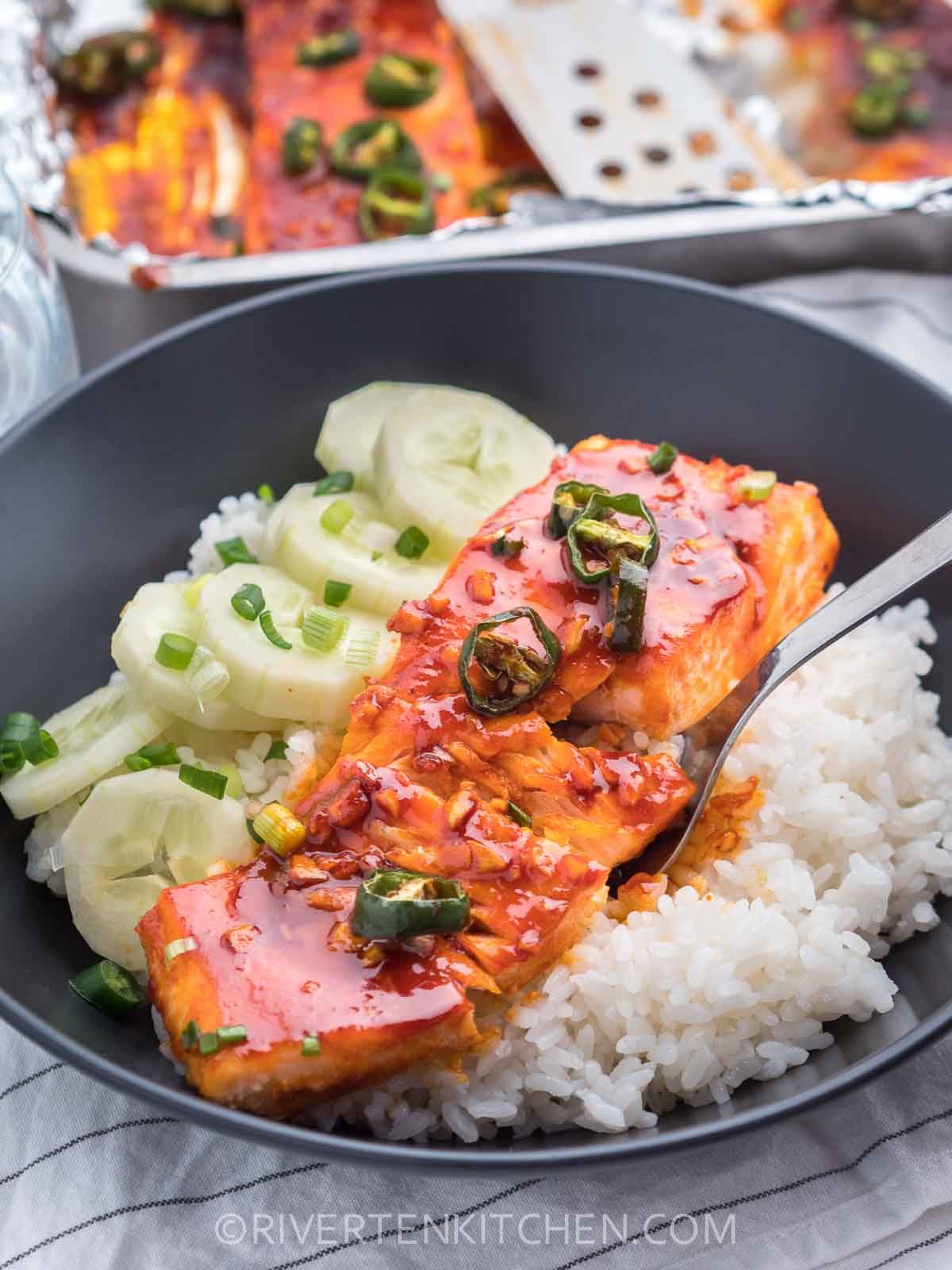 Spicy Gochujang Salmon with rice