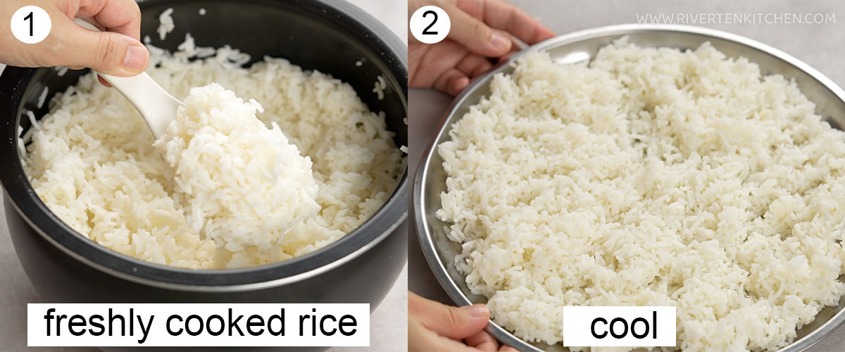 freshly cooked rice