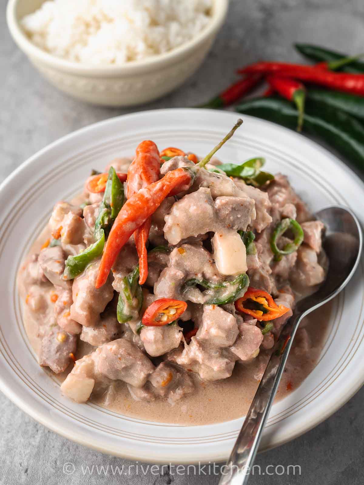 spicy pork in coconut milk with red and green chilies