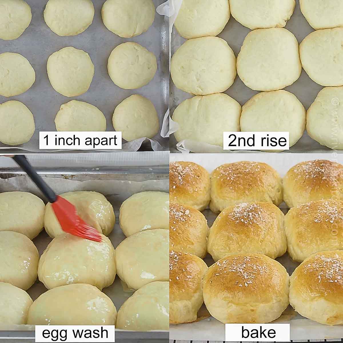 pan de coco bread rolls