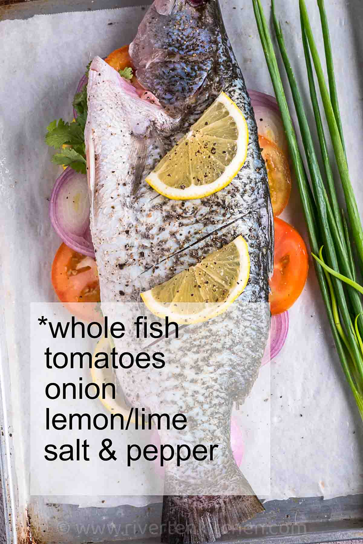 white fish, tomatoes, onion, scallions, lemon