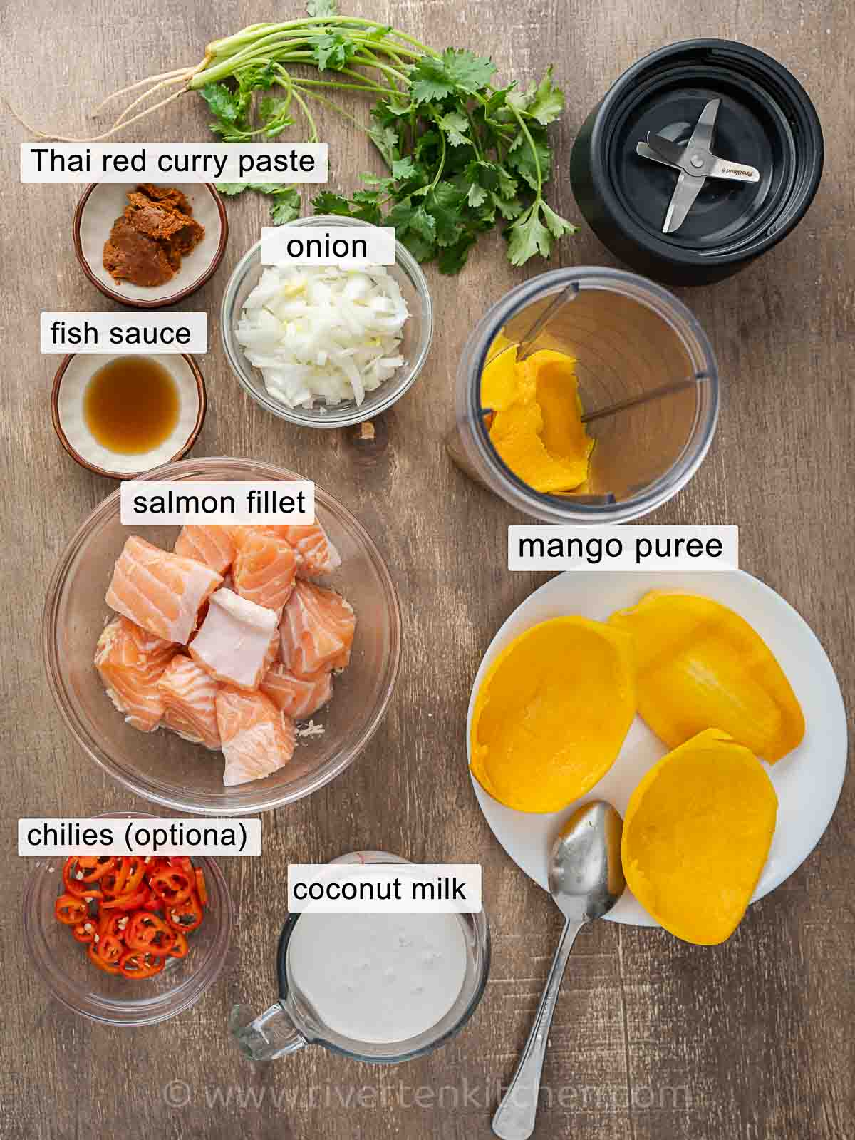 salmon fillet, coconut milk, chilies, fish sauce, mango puree, Thai red curry paste, onion, coriander or cilantro.