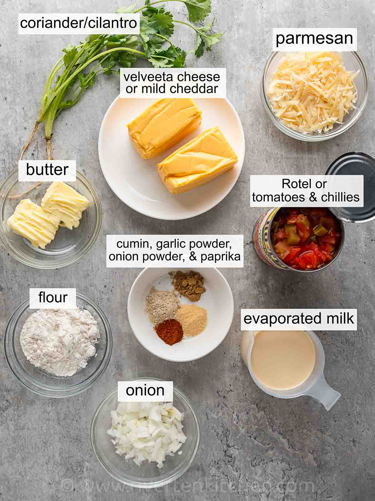 Velveeta, canned rotel, evaporated milk, onion, flour, butter, cumin, garlic powder, onion powder, parmesan cheese, and paprika.
